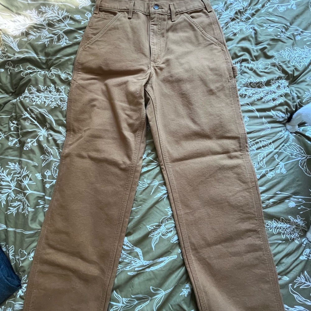 Carhartt lined work pants